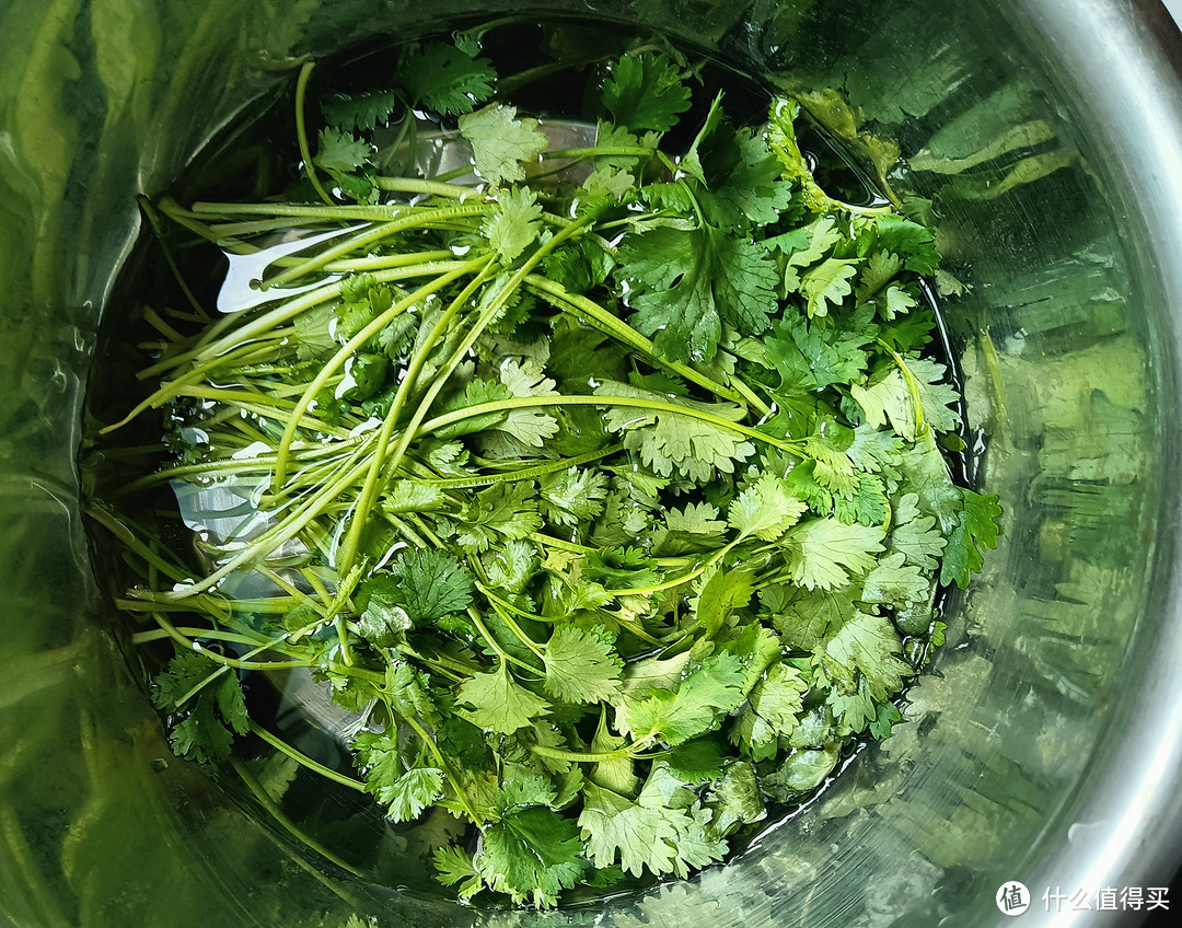 做碗牛肉面，测评金龙鱼高筋麦芯小麦粉