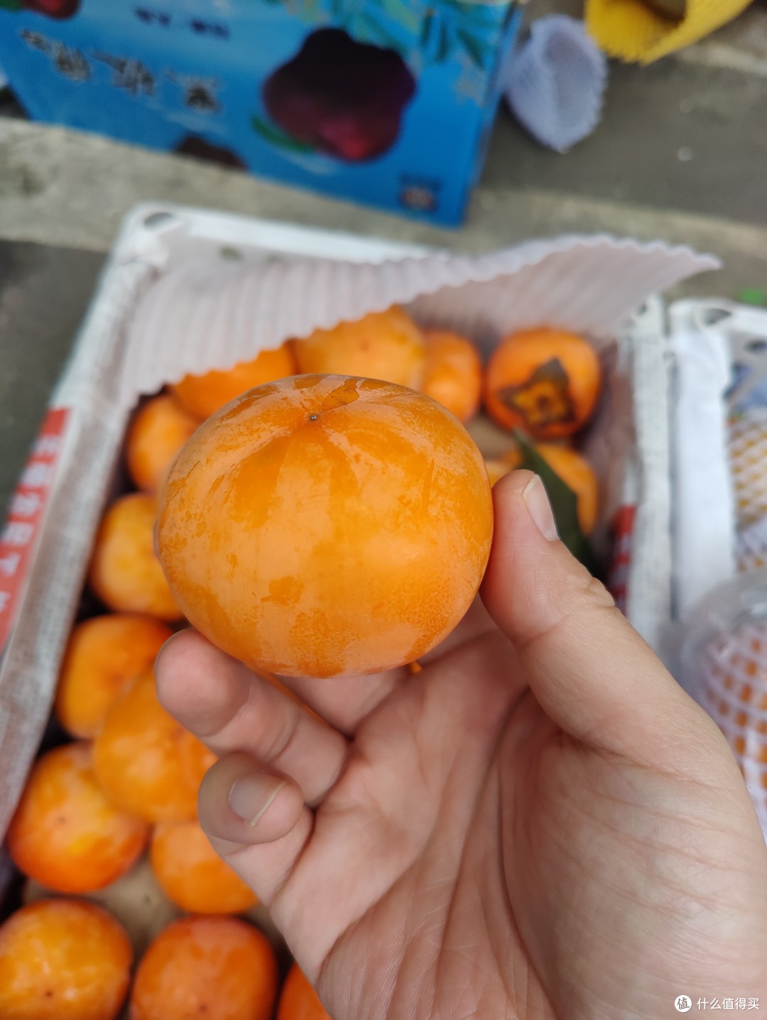 秋天最爱吃的水果上市了🥰