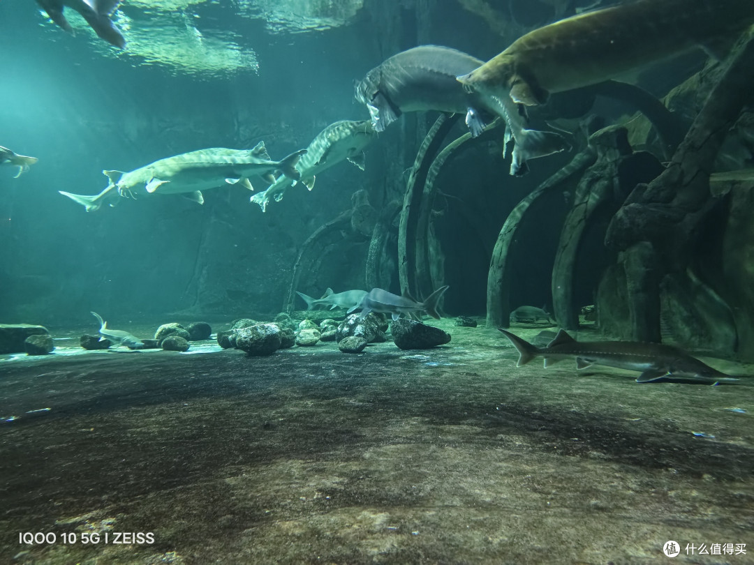 西安华夏海洋公园游玩指南