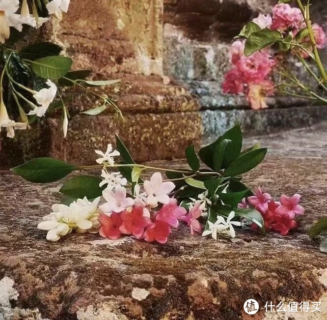长期神经紧绷?尝试下香氛疗愈吧!