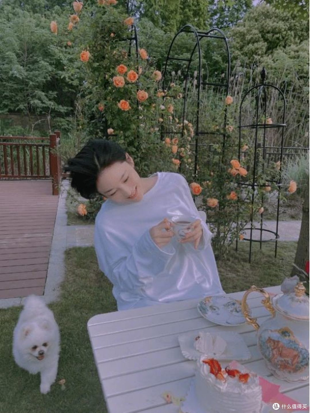 再看张馨予的“花果疏菜”院子,依旧令人羡慕,拍给大家看看
