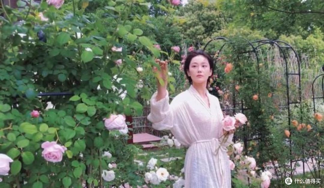 再看张馨予的“花果疏菜”院子,依旧令人羡慕,拍给大家看看