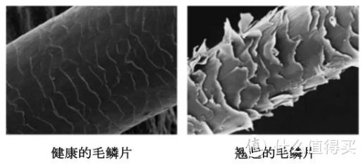 吹风机便宜和贵的区别是什么？四大缺陷危害科普