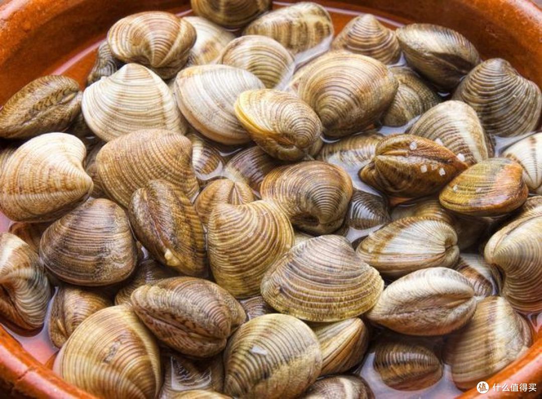 蛏子和蚬子的区别?你知道能活多少年吗？_海鲜水产_什么值得买