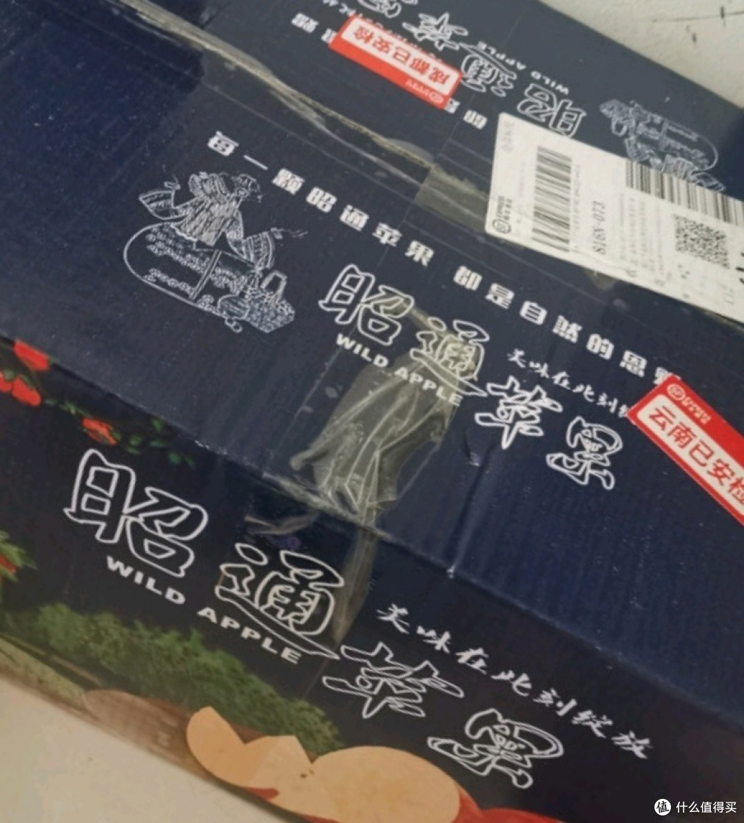 中秋过节吃昭通苹果2023年新果云南丑苹果