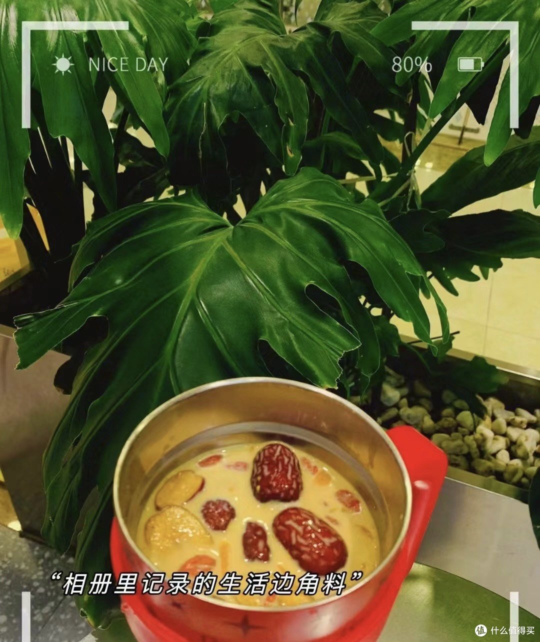 巡茶又出新款冰霸杯了,冰霸杯里泡枸杞,初秋了,需要滋补一下了!