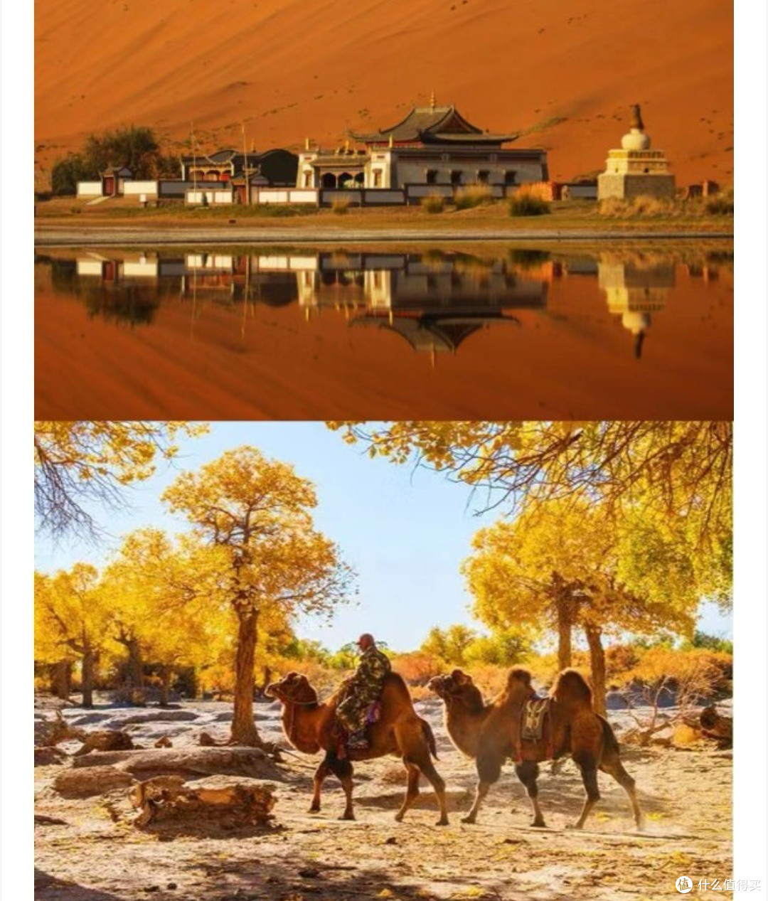 国庆出游，一年去一次的北疆！