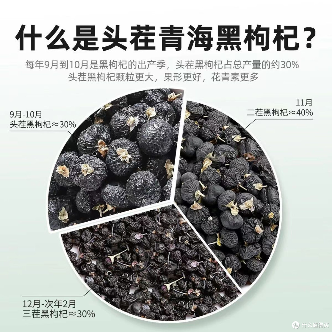 一杯黑枸杞,让你成为养生大佬