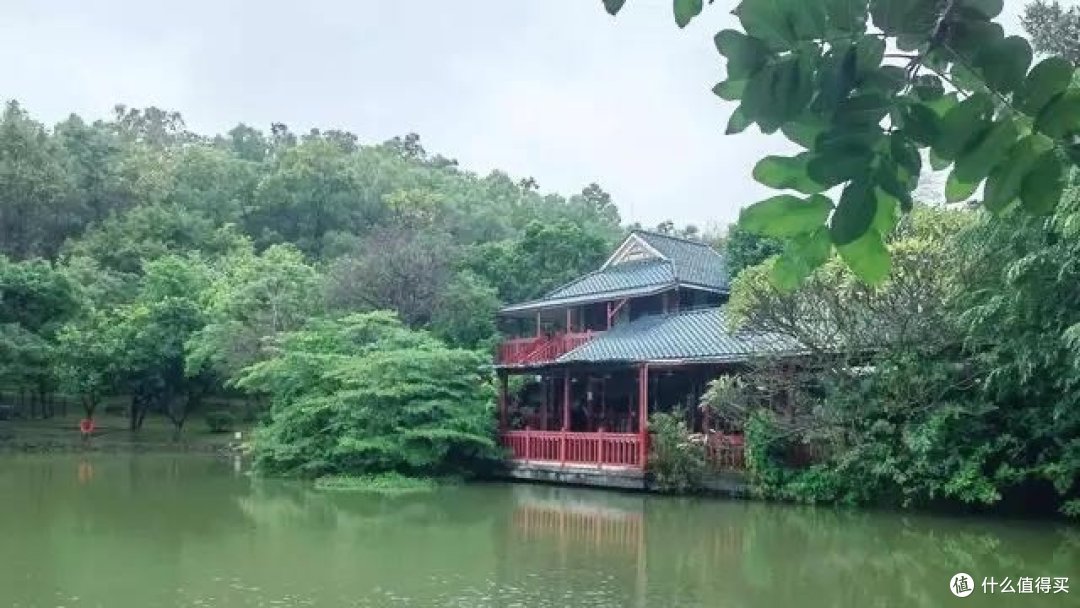 放假就去大夫山吸氧吧,让你身心健康爽到飞起!