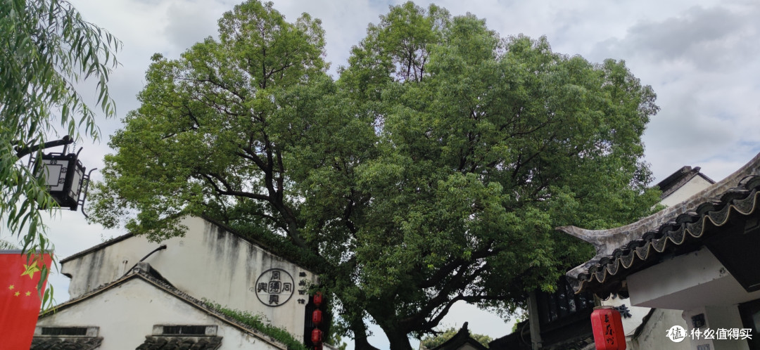 国庆出游-苏州平江路随便走走吧！
