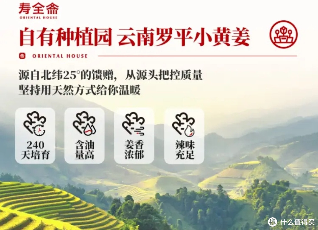 寿全斋 养生茶 红糖姜茶姜枣茶大姨妈可以喝 120g 中秋节礼品礼盒礼物