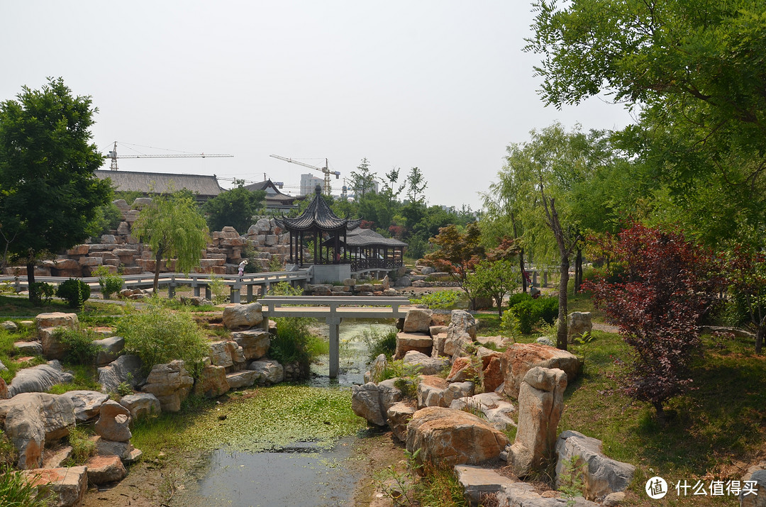 文昌湖公园:城市绿洲的惊艳之美