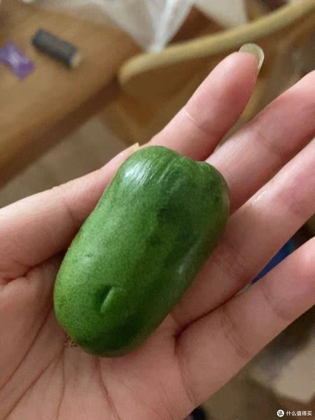 一起过中秋吃猕猴桃