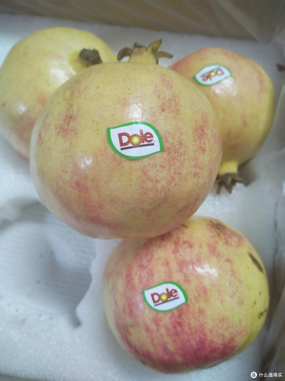 都乐软籽甜石榴