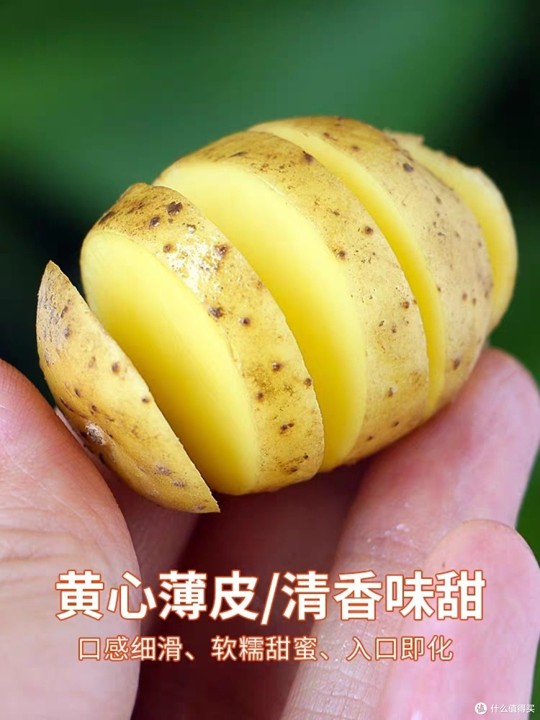简单又美味!家里最好吃的土豆饼,让你垂涎三尺!