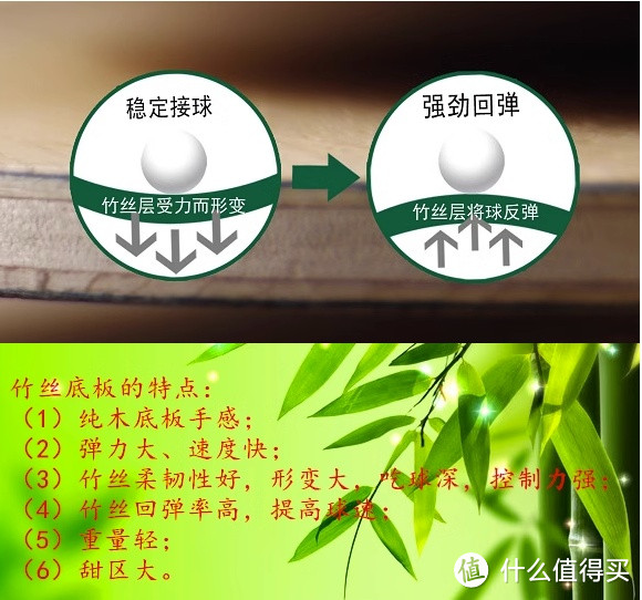 一文打尽——不同价格段乒乓球底板推荐