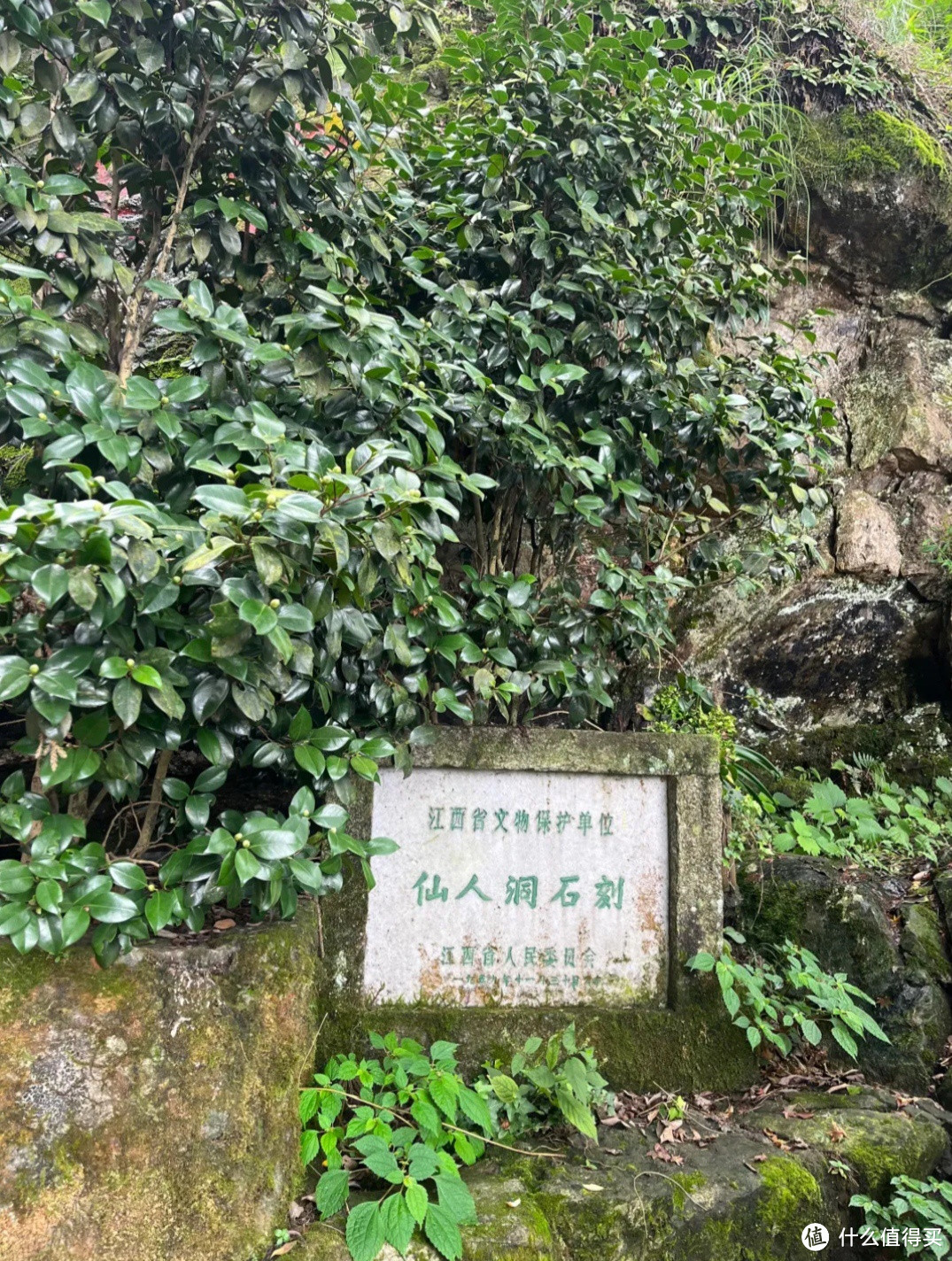 天生一个仙人洞，无限风光在险峰