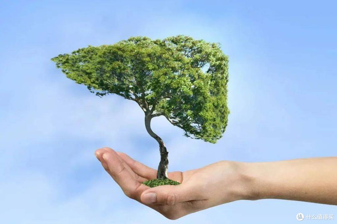 秋季如何养肝？做对这4件事，帮你护肝少生病
