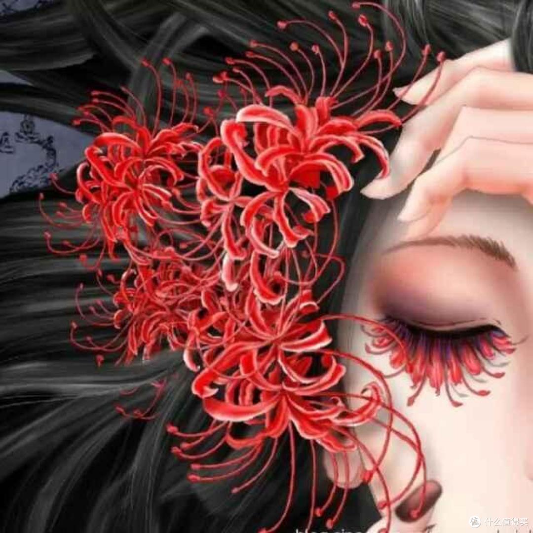 养花有讲究,这4种花,漂亮却“不吉祥”,要是不愿养,早些弃了