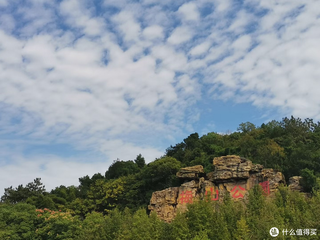 绍兴镜湖湿地公园图片