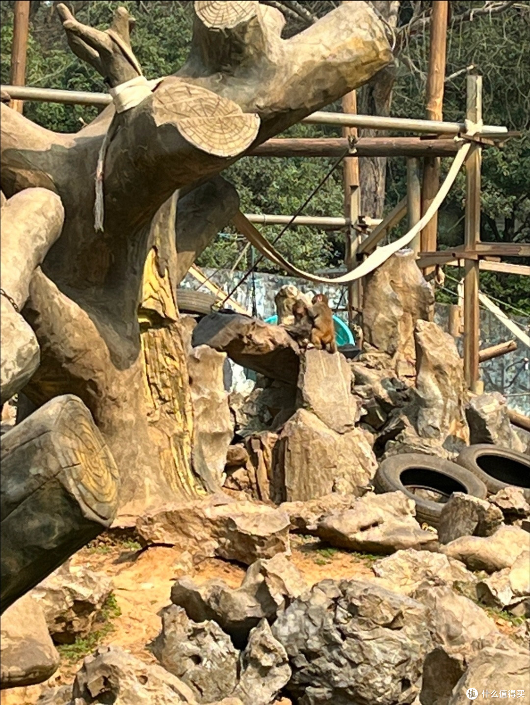 国庆出游红山森林动物园