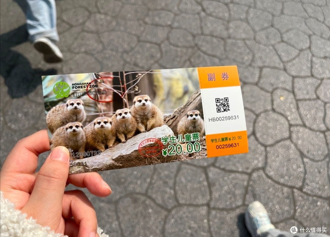 国庆出游红山森林动物园
