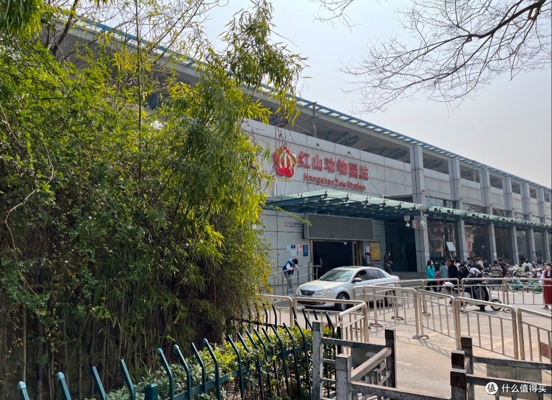 国庆出游红山森林动物园