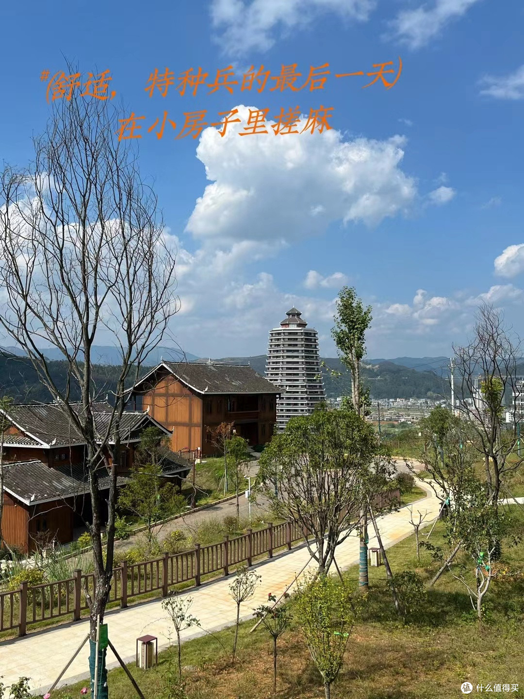 国庆宅家