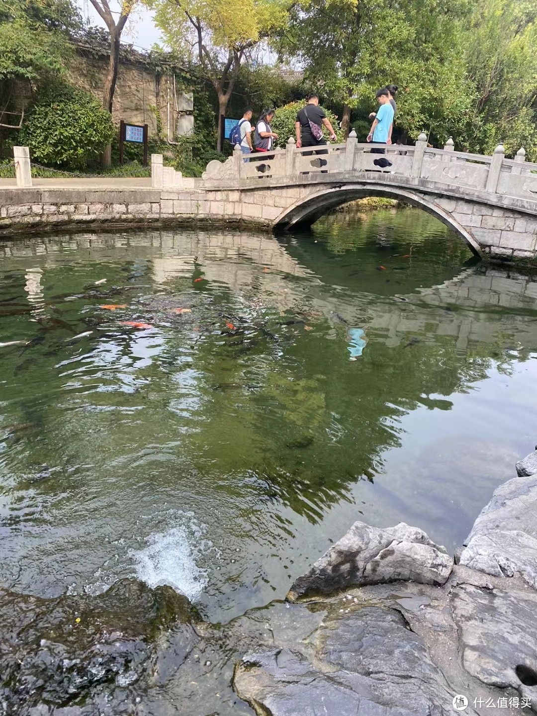 闪游杭州之问茶龙井村