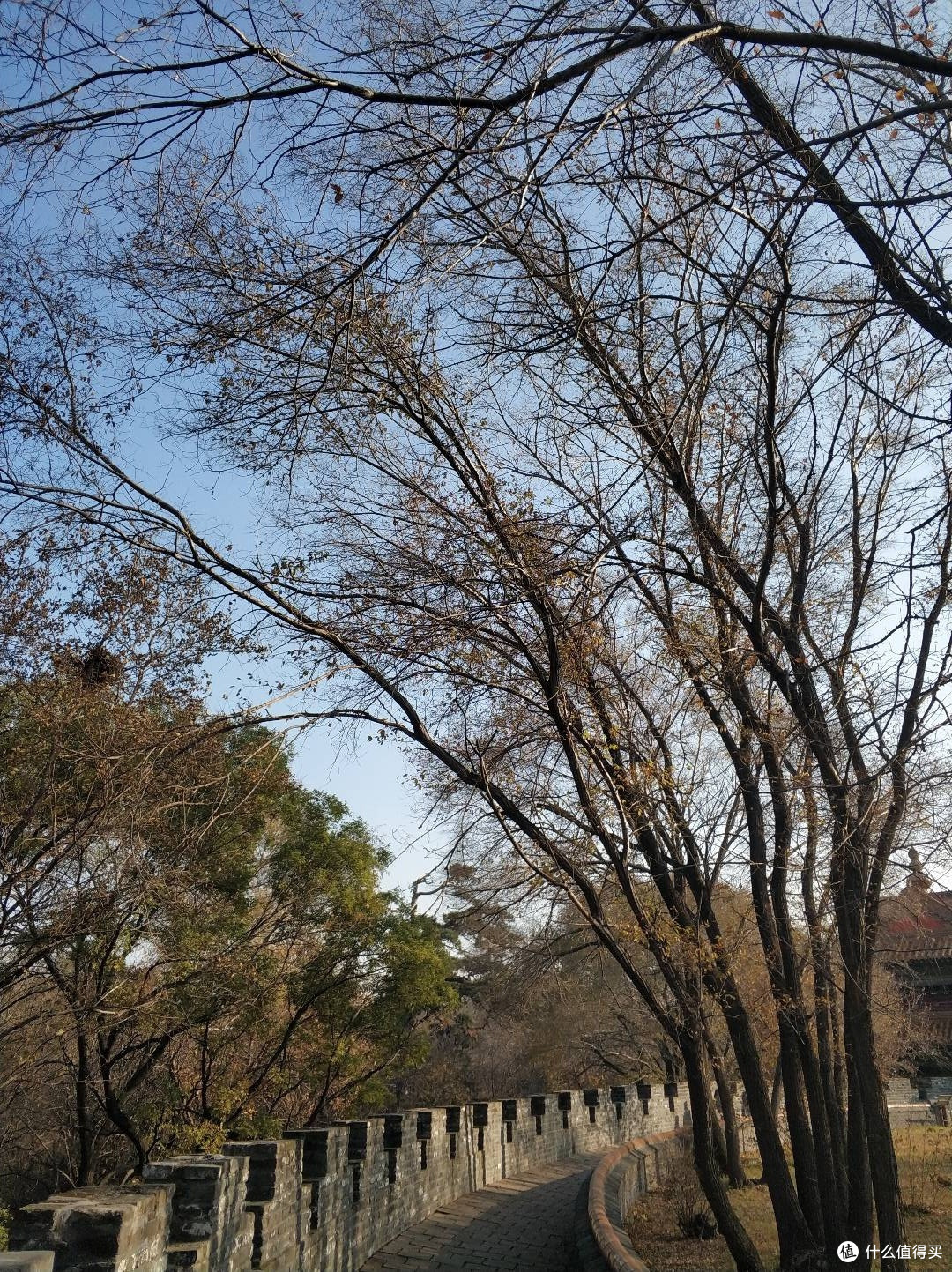 国庆周边游去沈阳了