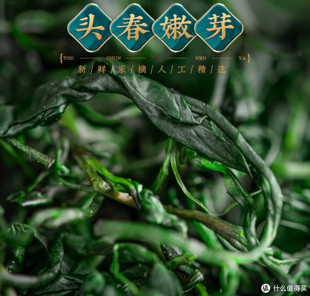 养生茶大赏：最适合饮用的几款茶