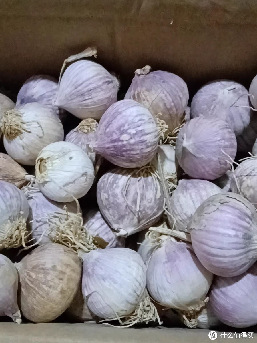 云南紫皮独头蒜：新鲜的辣干蒜头瓣，非东北现挖5斤整箱湿蒜红皮大蒜3