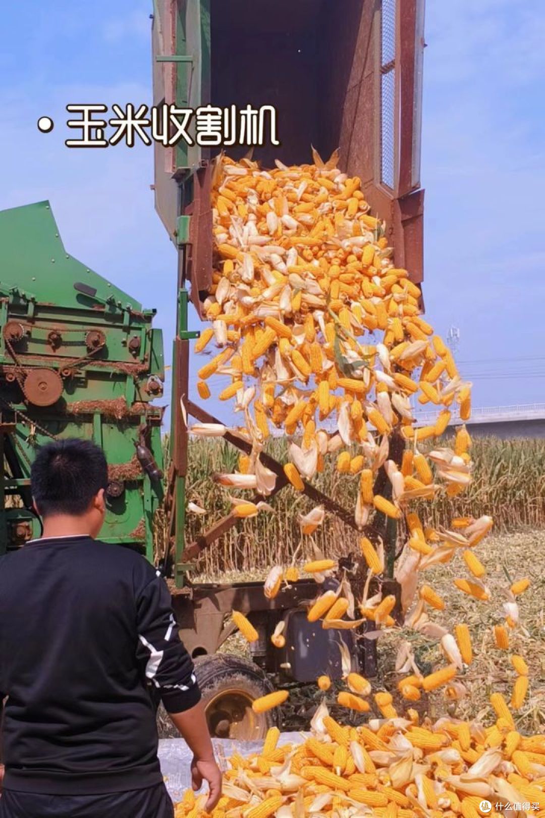 这个国庆假期和孩子有哪些有趣瞬间值得分享?