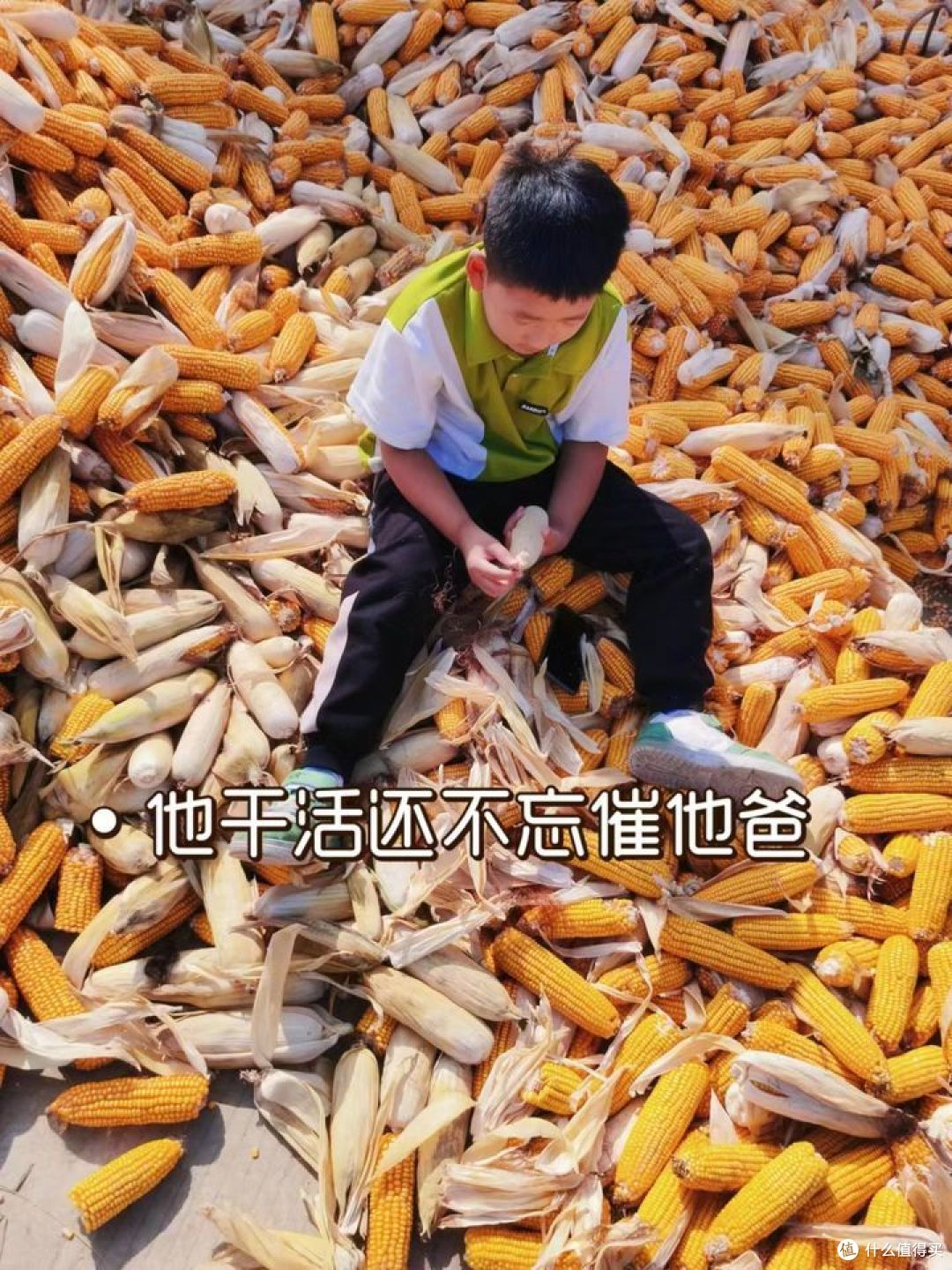 这个国庆假期和孩子有哪些有趣瞬间值得分享?