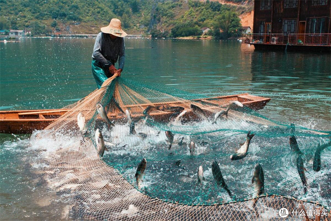 14个沿海省份做鱼的绝活，几乎个个都是名菜，爱吃鱼要挨个尝尝
