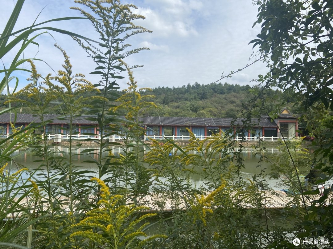 国庆出游2:寻一处静地,垂钓🎣