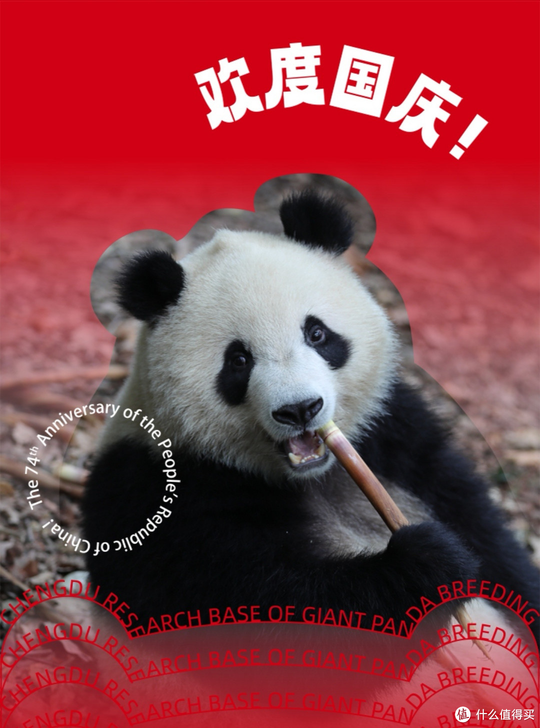 享受川渝人士的半价福利看熊猫