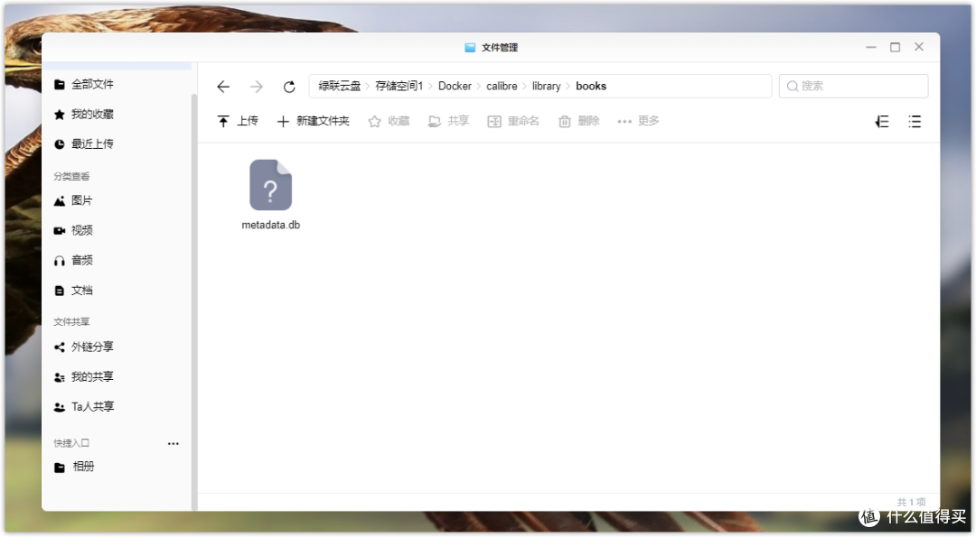 20余项NAS功能部署,保姆级万字长文,教你玩转绿联DX4600