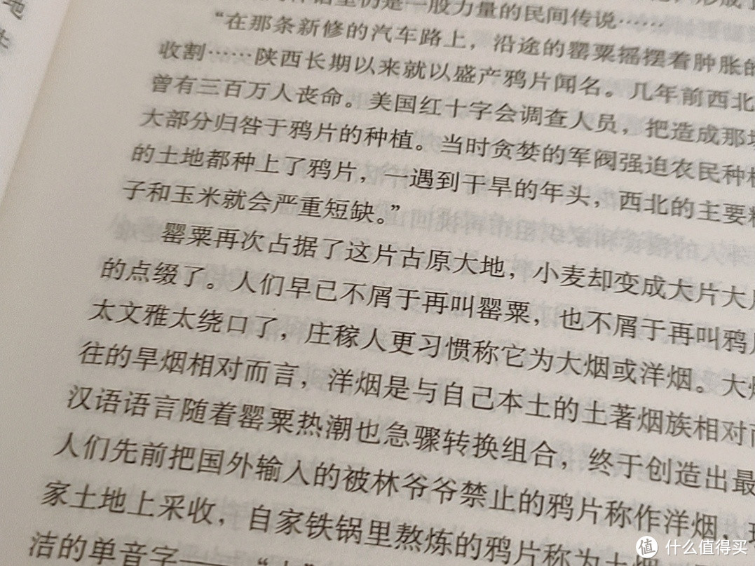 《白鹿原》：描绘中国农村社会历史的鸿篇巨著