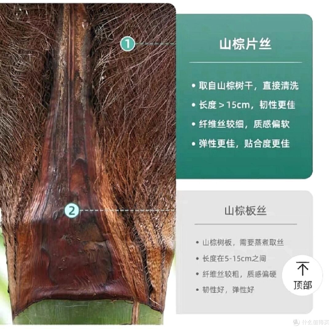双11床垫超详细预告攻略!!品牌、人群、床垫品类、避坑事项一次性全部拿下