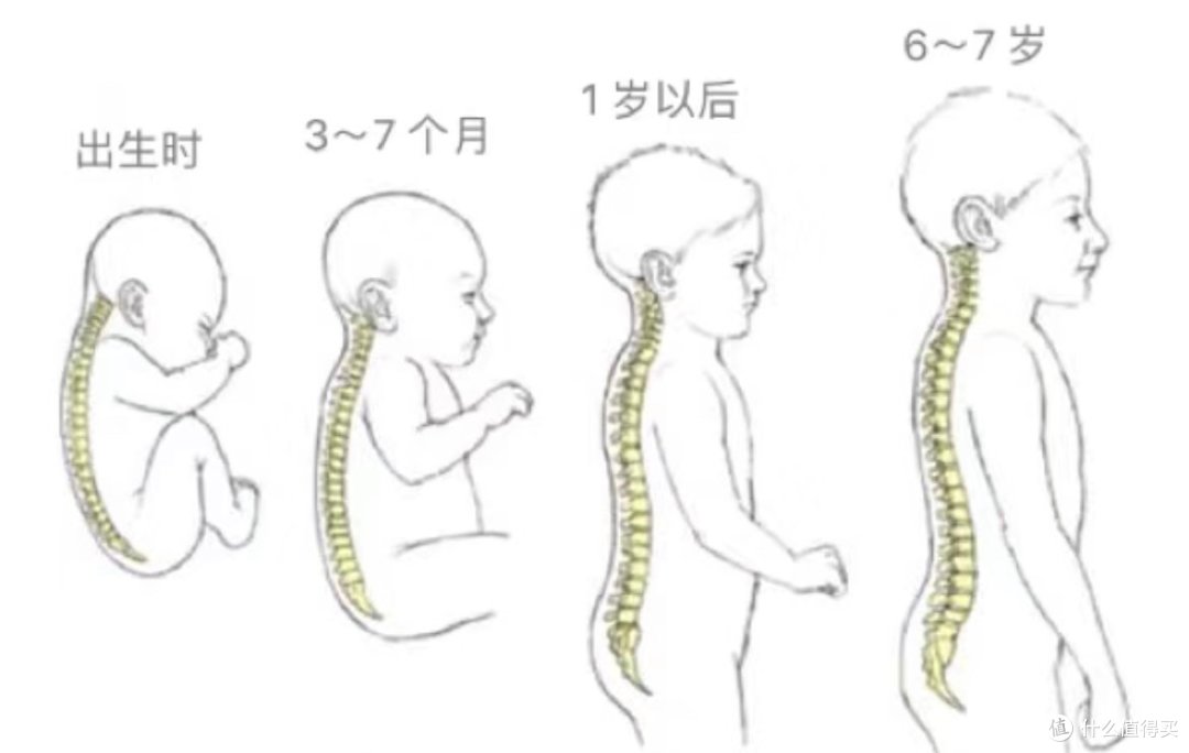 双11床垫超详细预告攻略!!品牌、人群、床垫品类、避坑事项一次性全部拿下