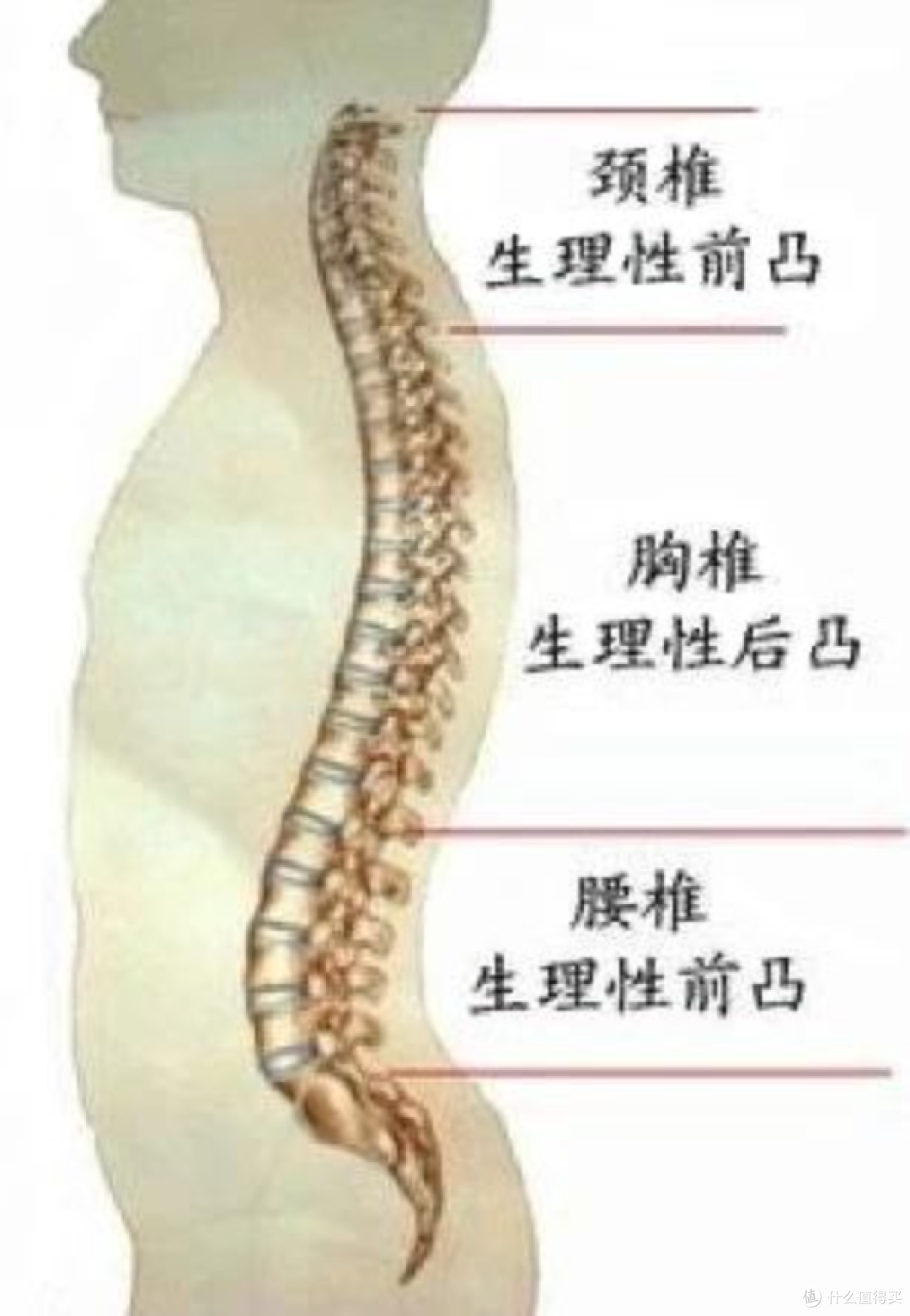 图源自网络。