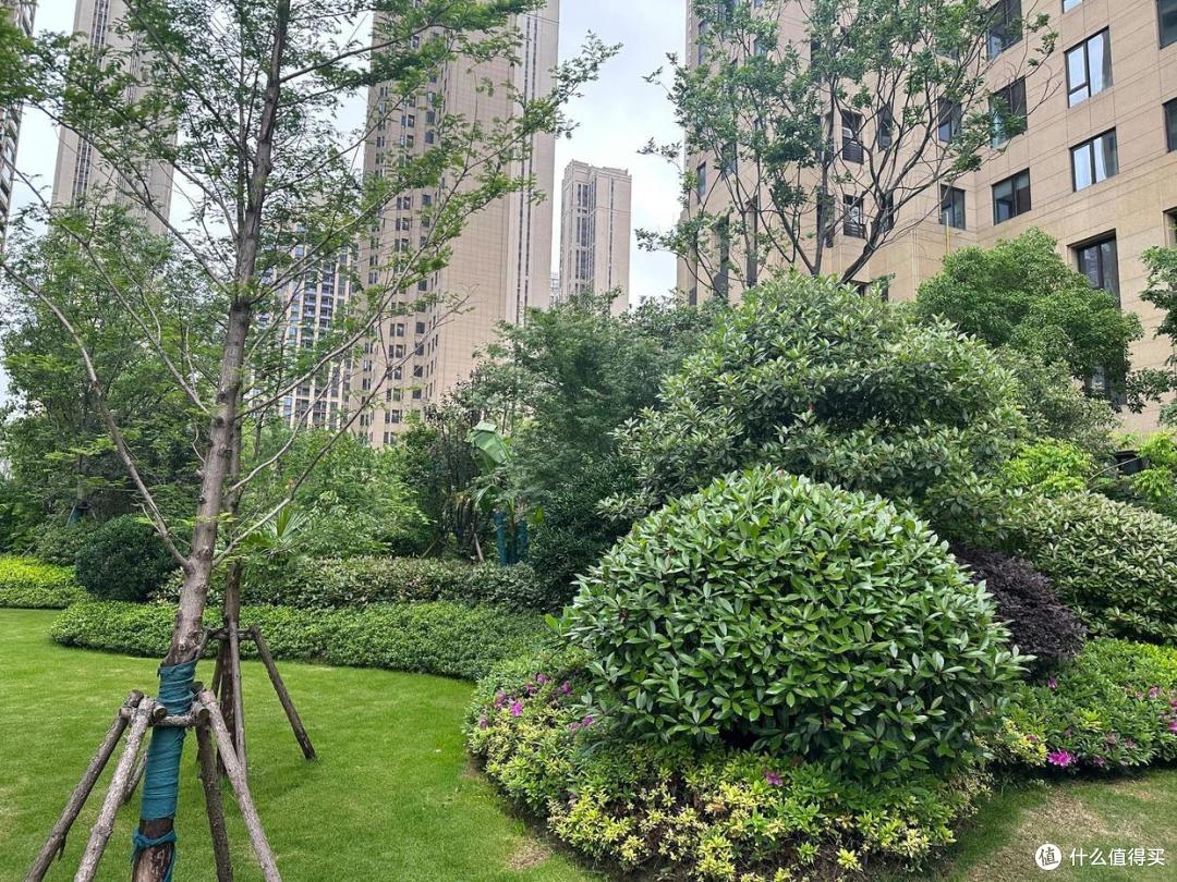 刚花200万买了26楼,买了就后悔!