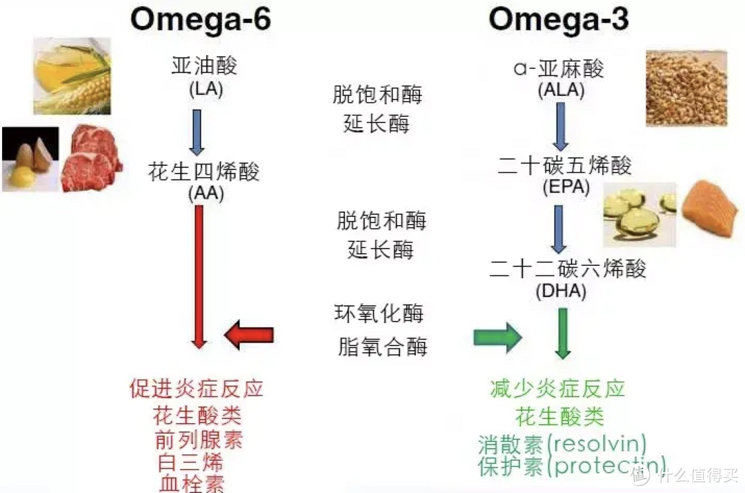 年轻人的养生产品选购指南｜不选贵的只选对的！