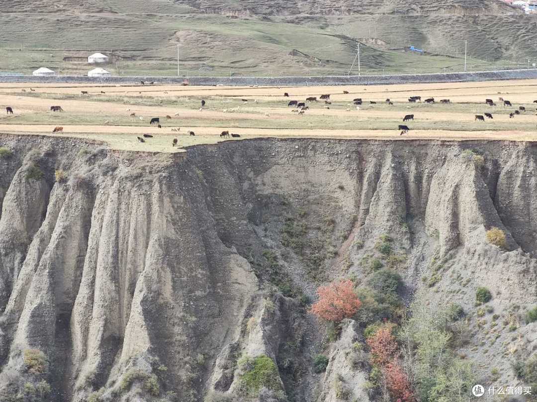巴音沟牧场