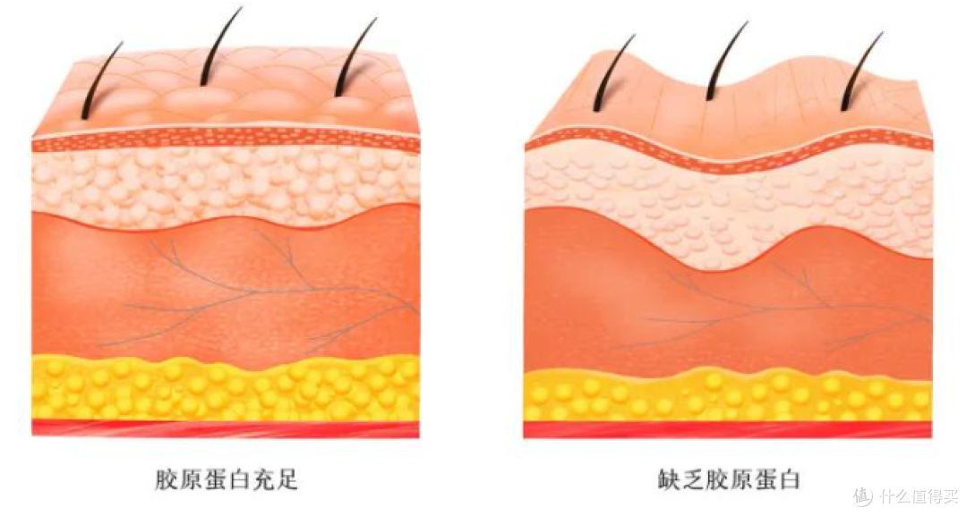 小红笔美眼仪深度体验分享