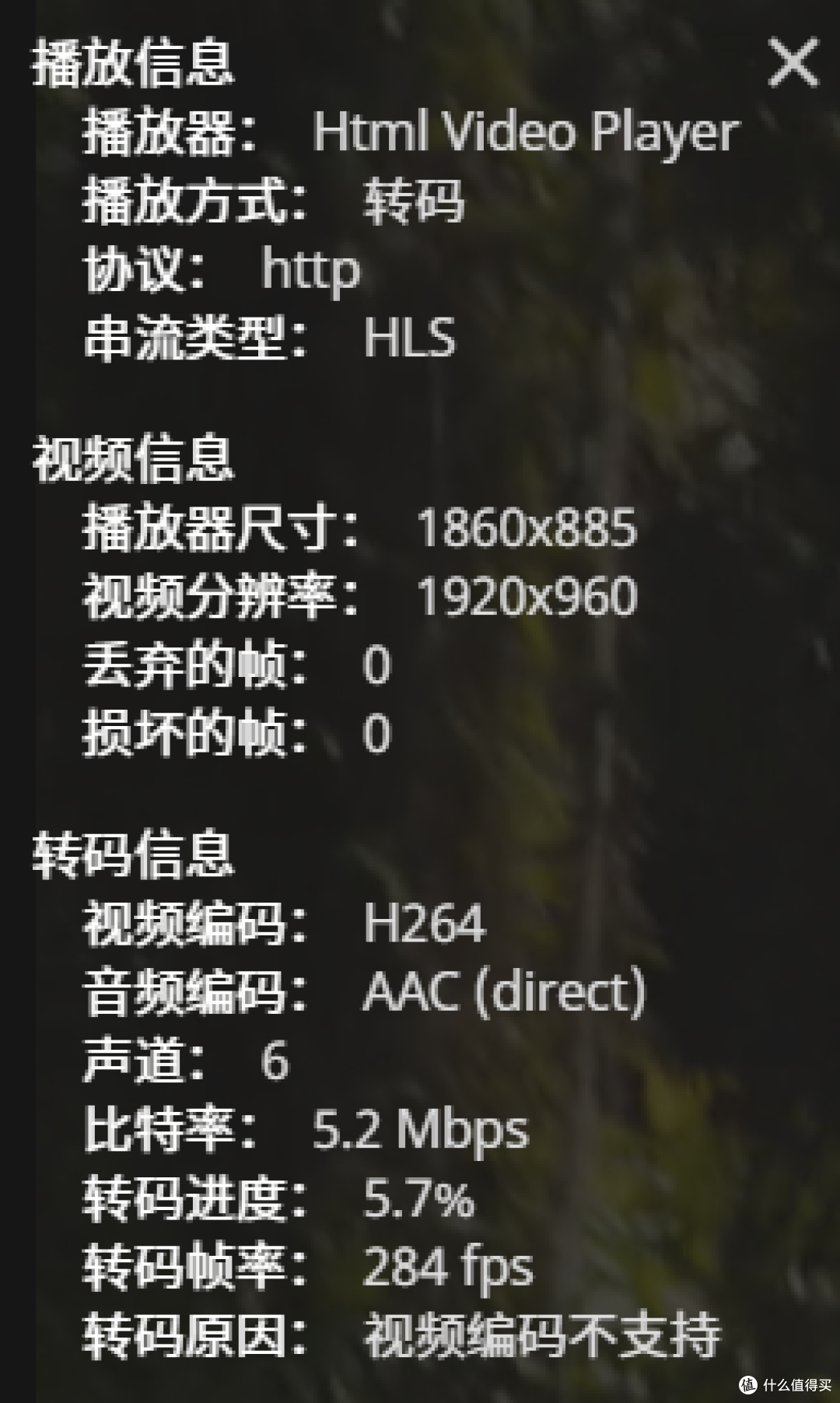 实时解码效果