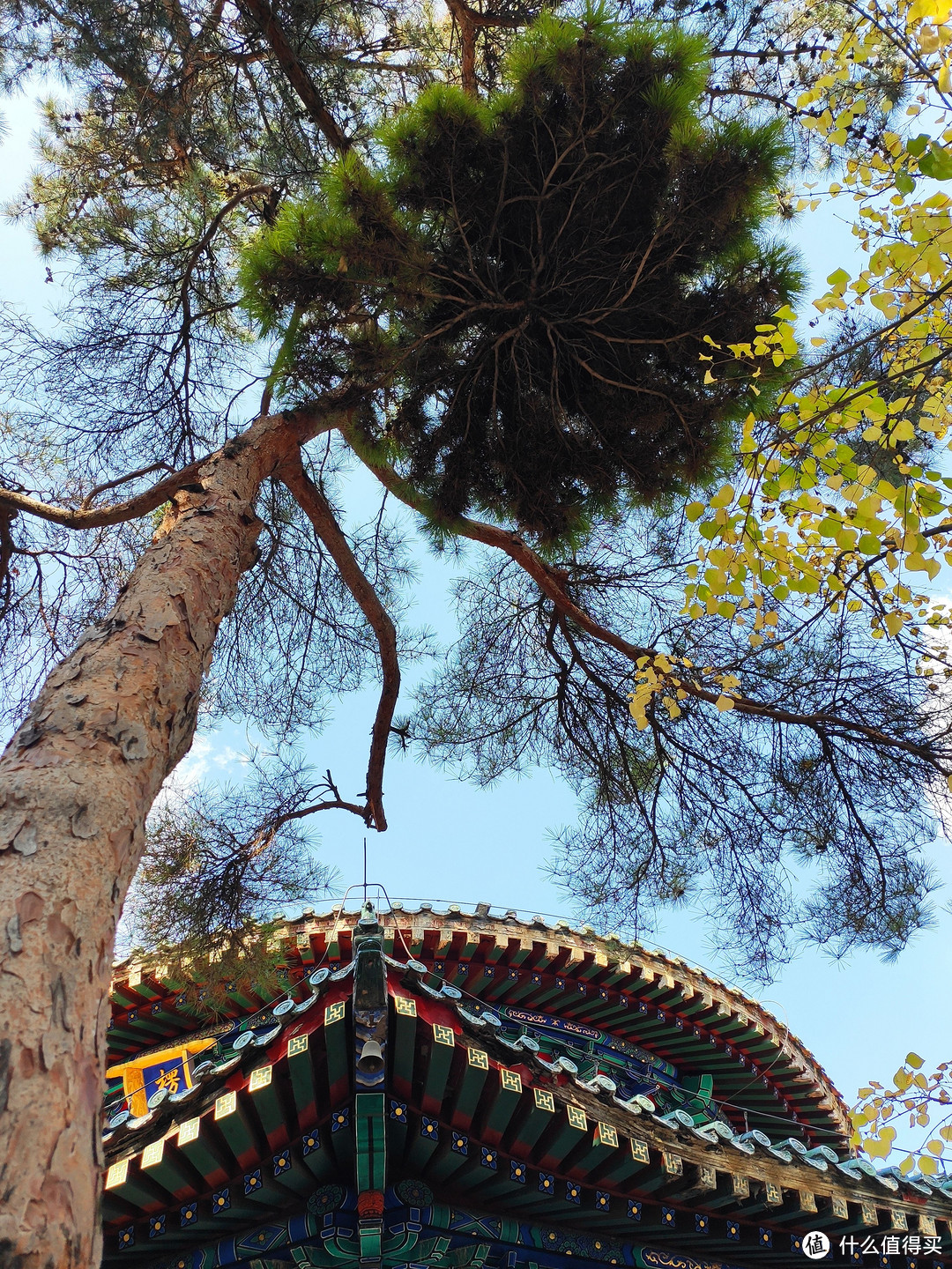 “先有潭柘寺，后有北京城”，潭柘寺到底值不值得假期走一趟？