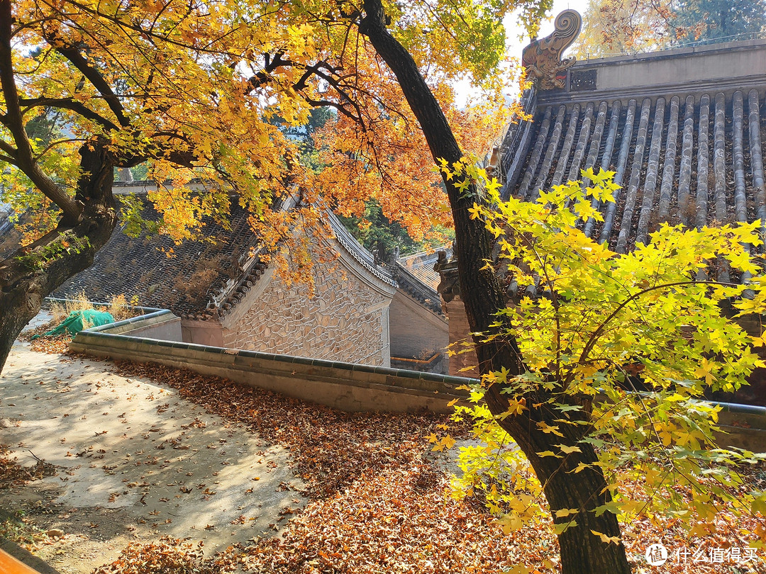 “先有潭柘寺，后有北京城”，潭柘寺到底值不值得假期走一趟？