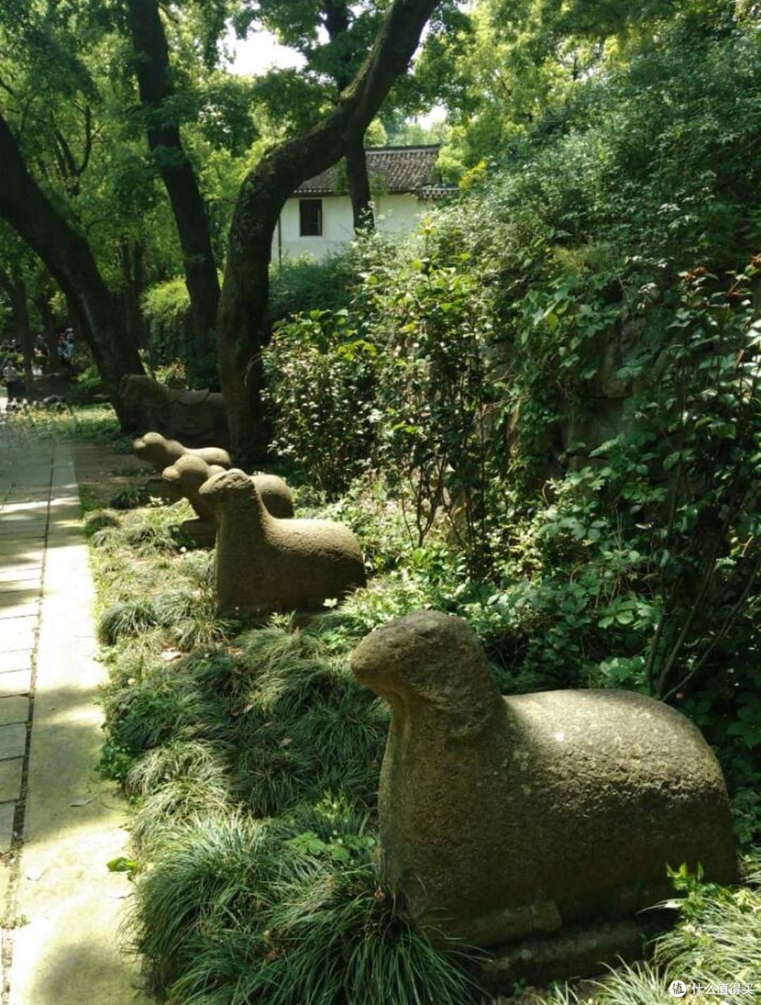 宁波不是热门旅游城市，但旅游资源多，就是酒香巷子深。宁波旅游之寺庙。